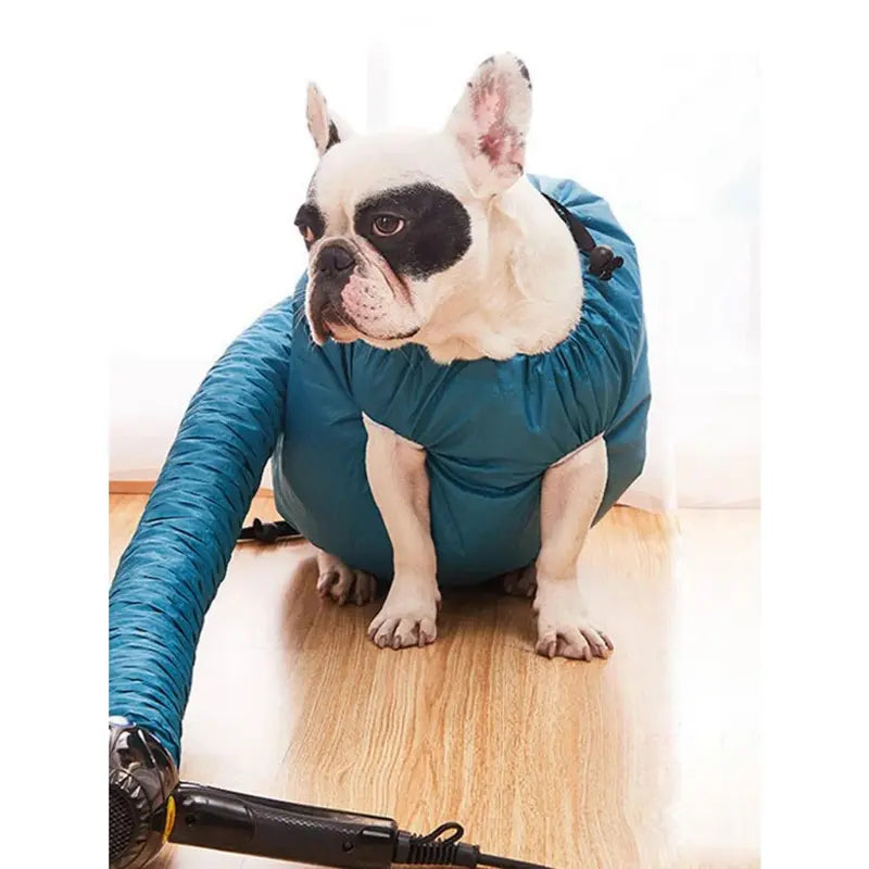 Portable Quick-Dry Pet Bath Drying Bag
