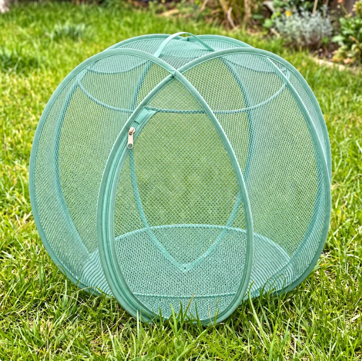 Outdoor Pet Playpen