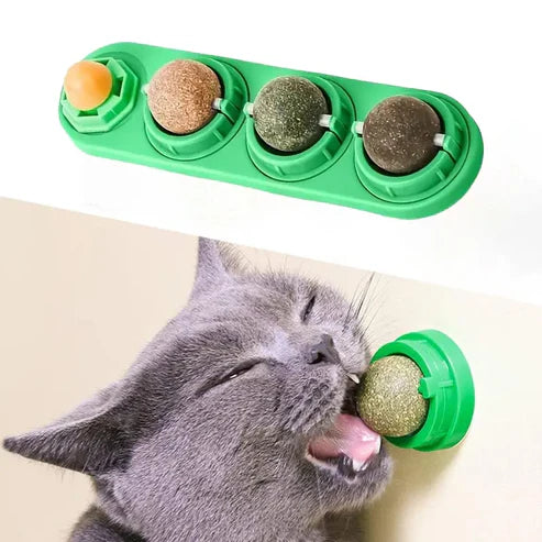 Catnip Dental Chew Toy Balls 4-Pack