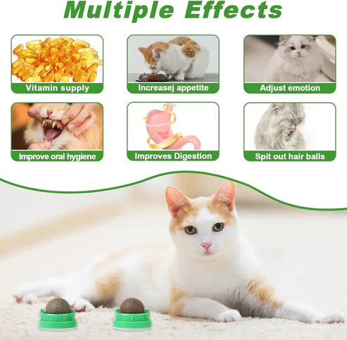 Catnip Dental Chew Toy Balls 4-Pack
