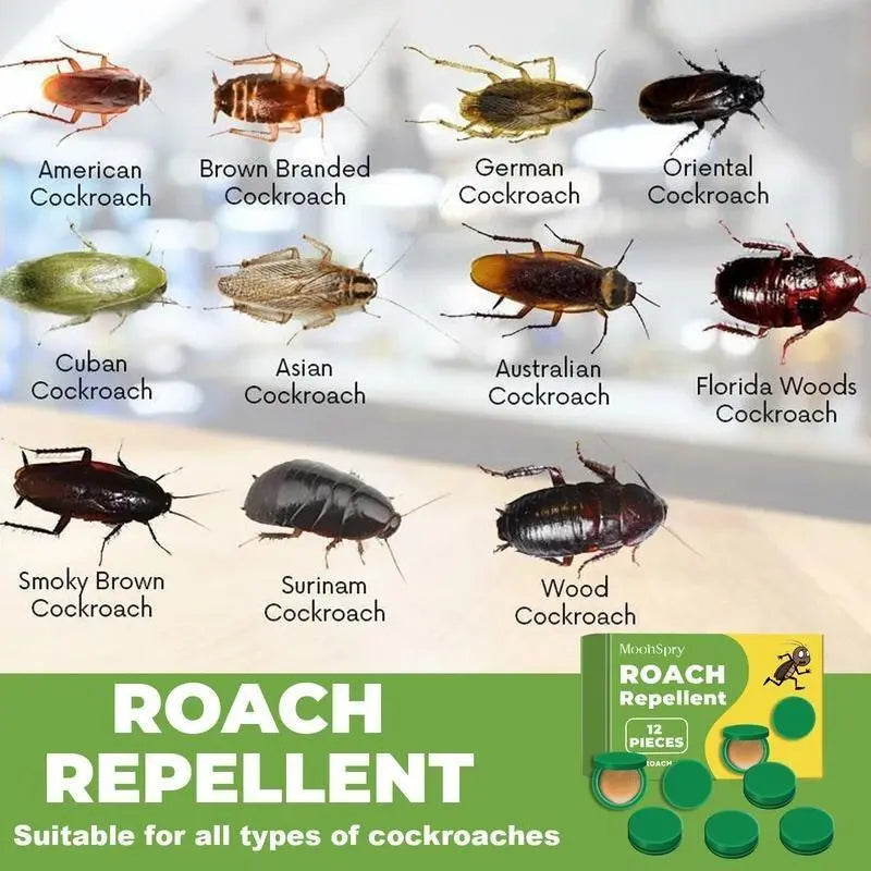 Roach Gel Bait and Mop Pest Kit