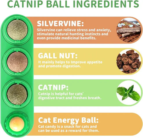 Catnip Dental Chew Toy Balls 4-Pack