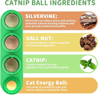 Catnip Dental Chew Toy Balls 4-Pack