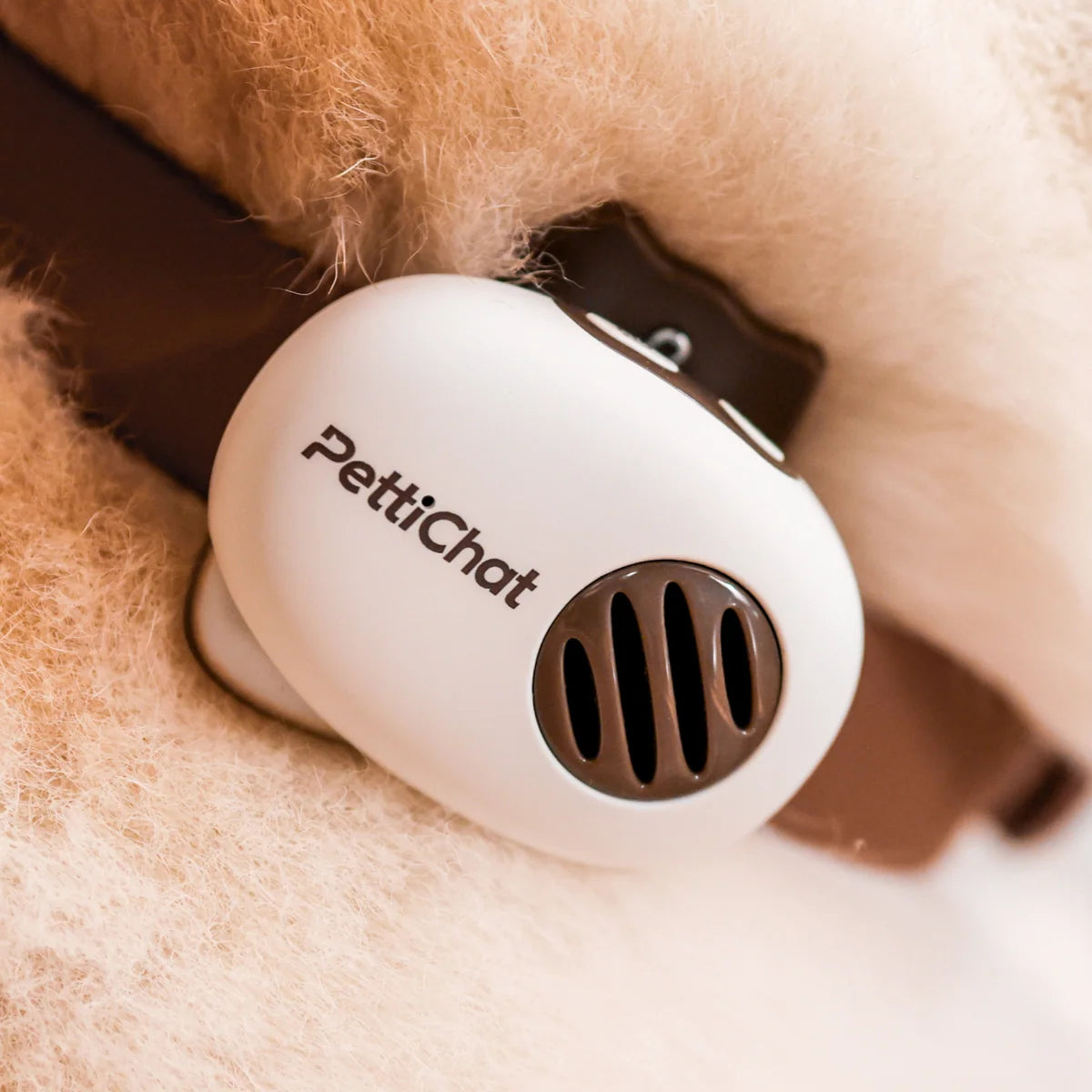 PettiChat - Pet Translator