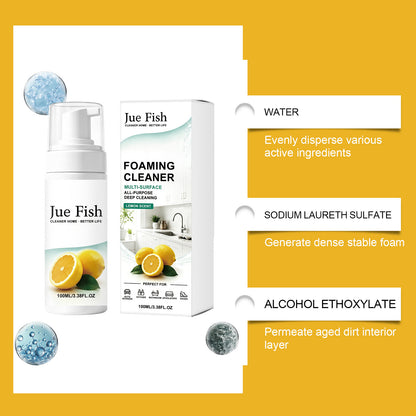 Multi-Purpose Heavy-Duty Kitchen Foam Cleanser
