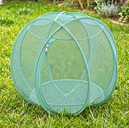 Outdoor Pet Playpen