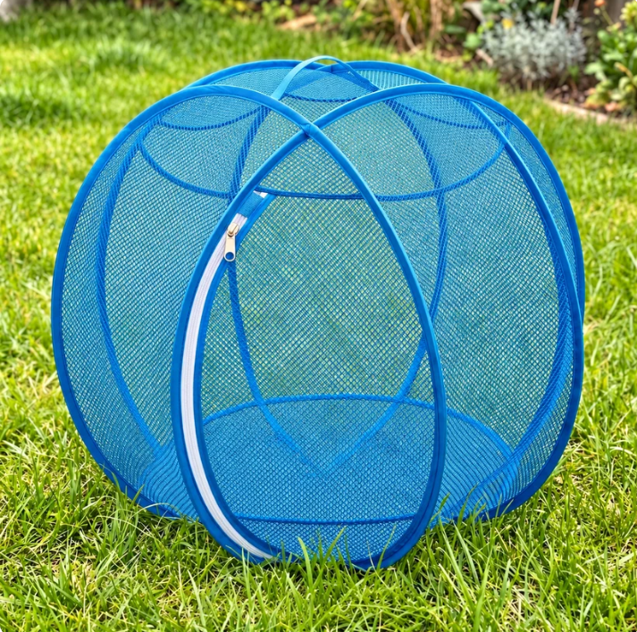 Outdoor Pet Playpen